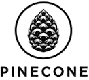 Pinecone Vector DB